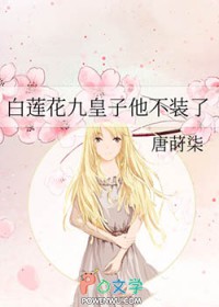 �������Ż�������װ��