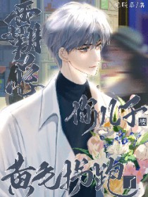 霸总,你儿子被黄毛拐跑了